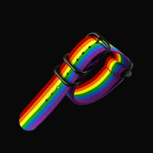 22mm LGBT Rainbow Zulu NATO Militair Horloge Strap in Ballistic Nylon